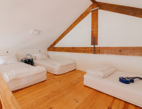 happy-porto-hostel-porto-hostels-porto-elcamino-santiago-jakobs-weg-st-james-way-hostels-in-porto-hostels-porto-hostels