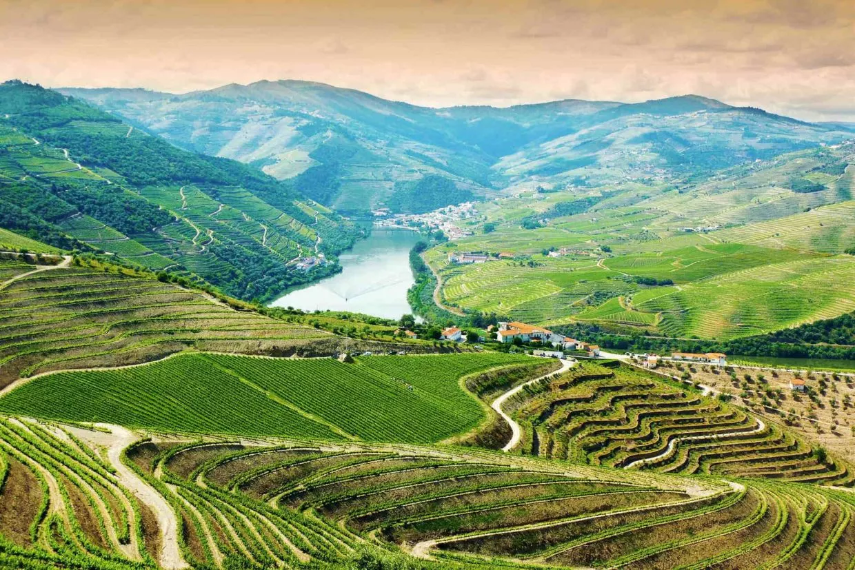 Happy Porto Hostel – Sightseeing in Douro Valley near Porto