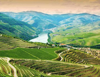 Happy Porto Hostel – Sightseeing in Douro Valley near Porto